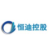 恒迪控股：復亨果然沒讓我們公司失望